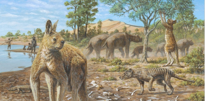 Procoptodon goliah Australian Geographic