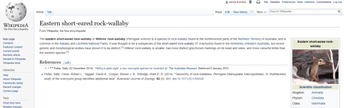 wikipedia snapshot wilkins rock wallaby